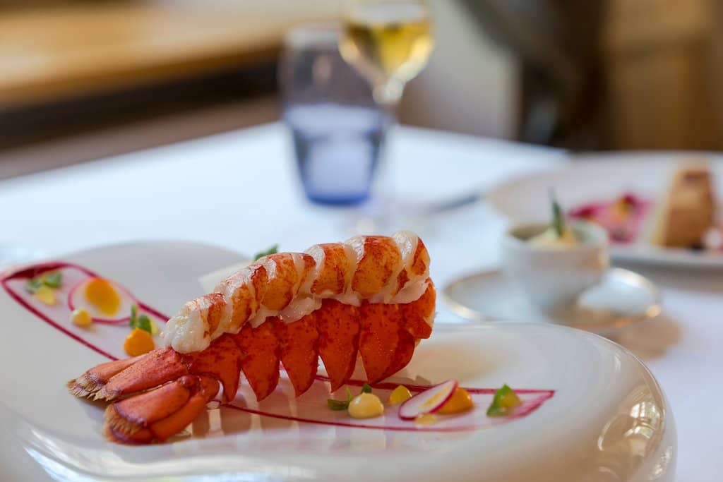 Gourmet Dining Experience