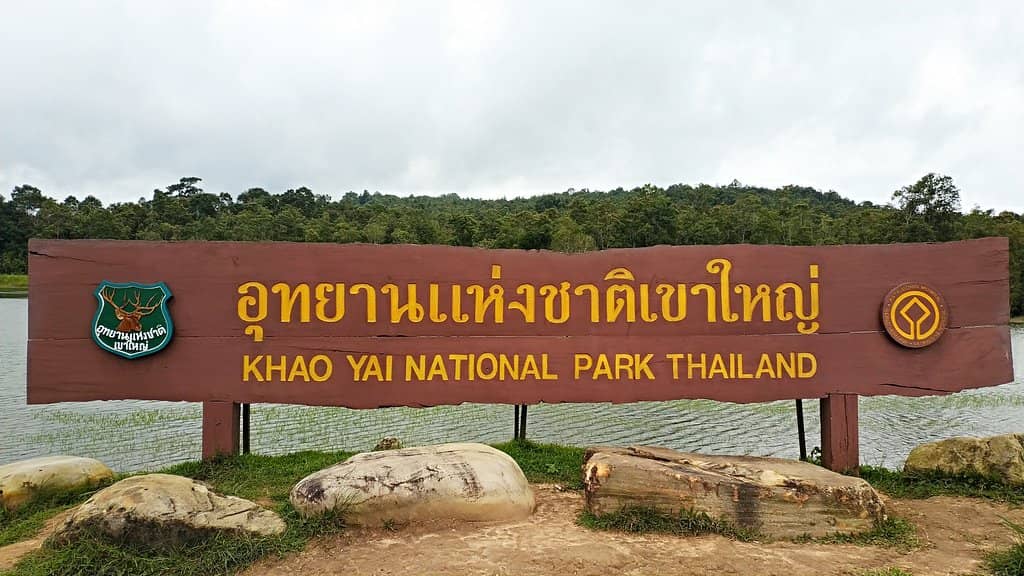 Night Safari Adventure