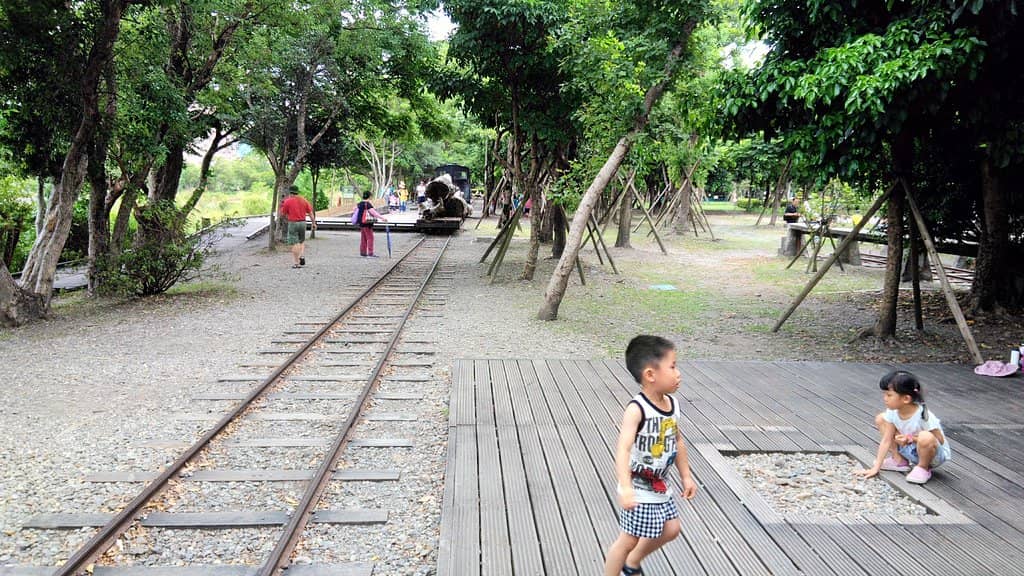 Wood Sculpture Garden