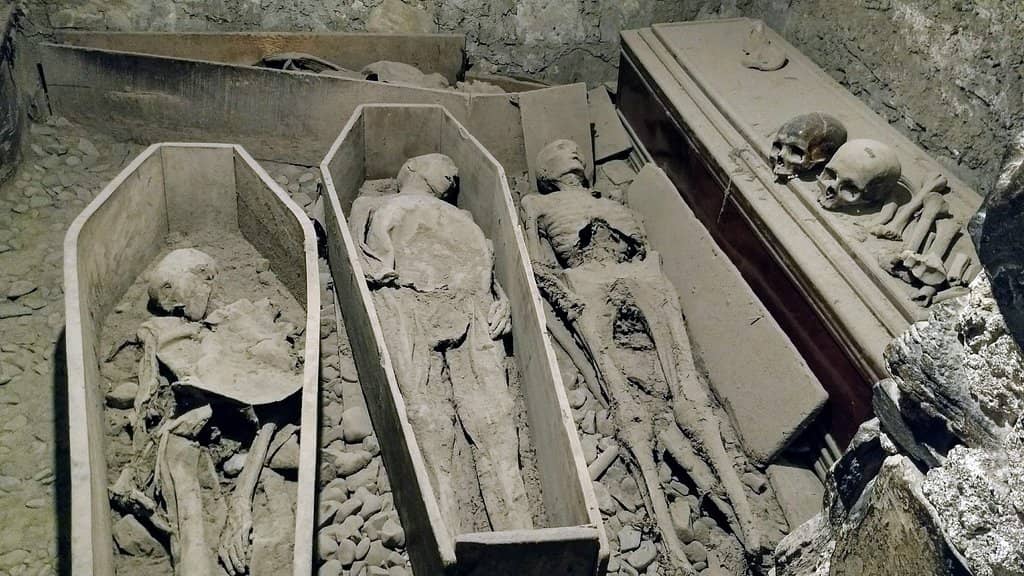 The Mummified Remains