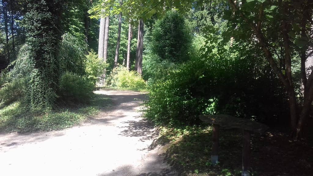 Peaceful Walking Paths