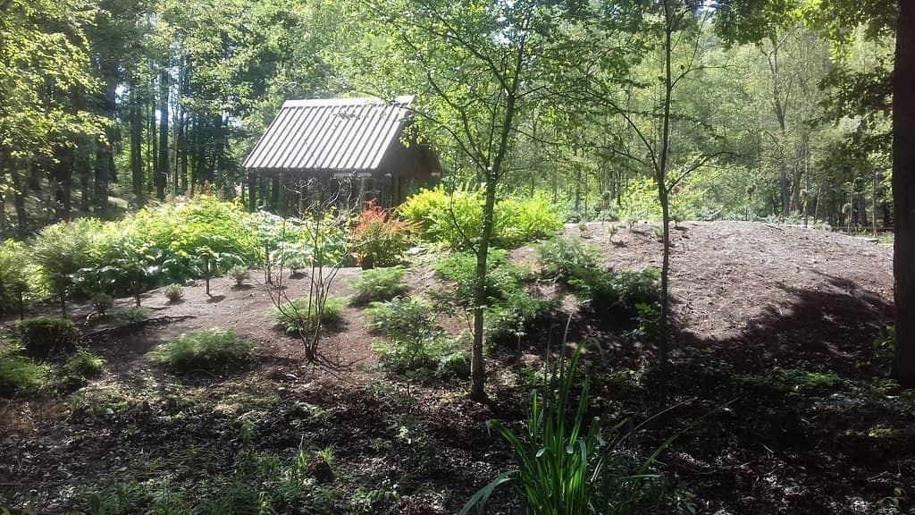 Bird Nests and Bee Hotels