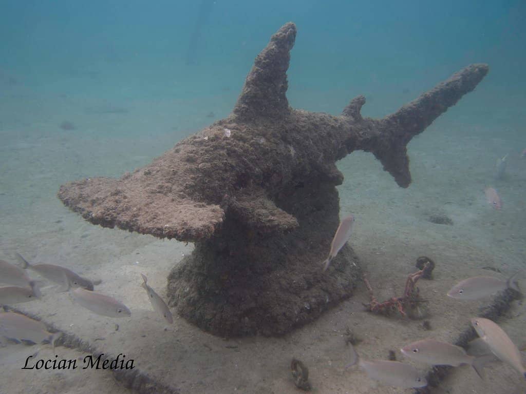 Artificial Reefs