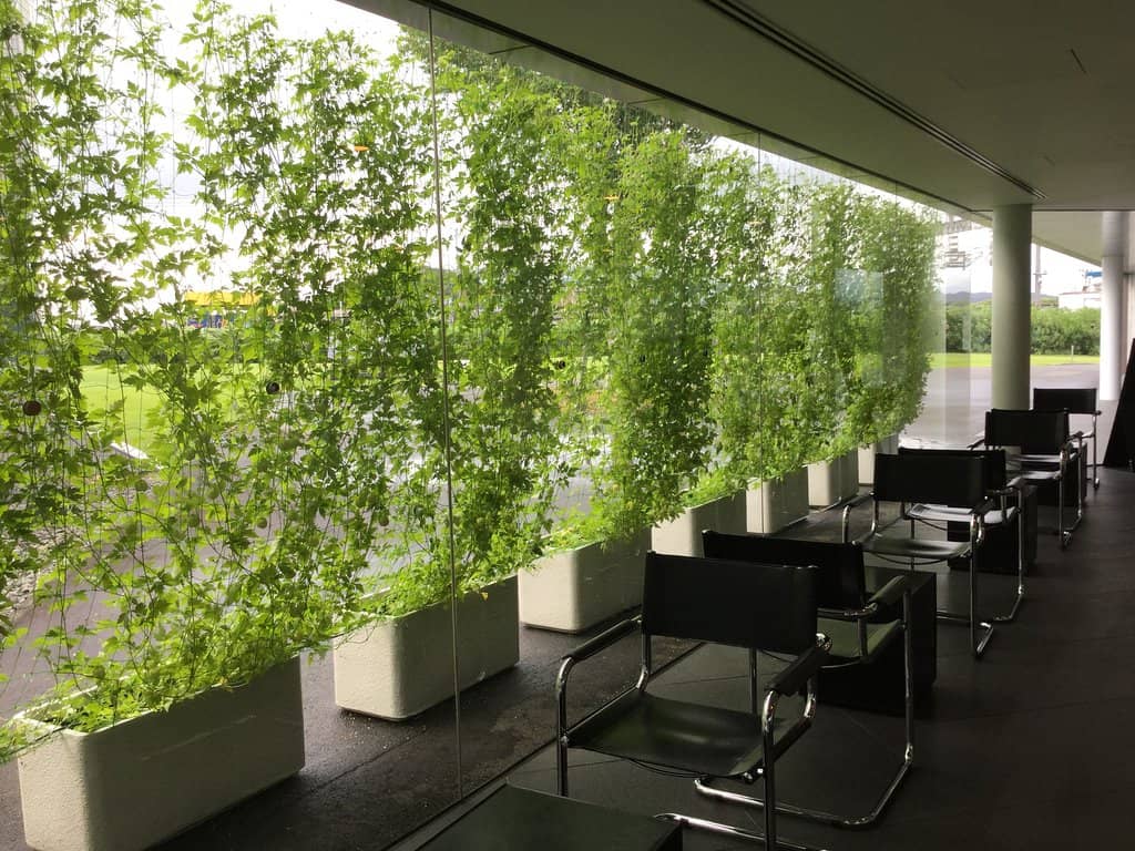 Yoshio Taniguchi Architecture