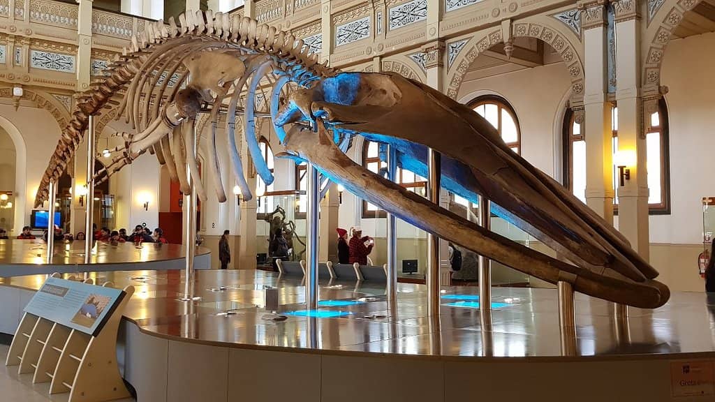 Outdoor Nature Exhibits