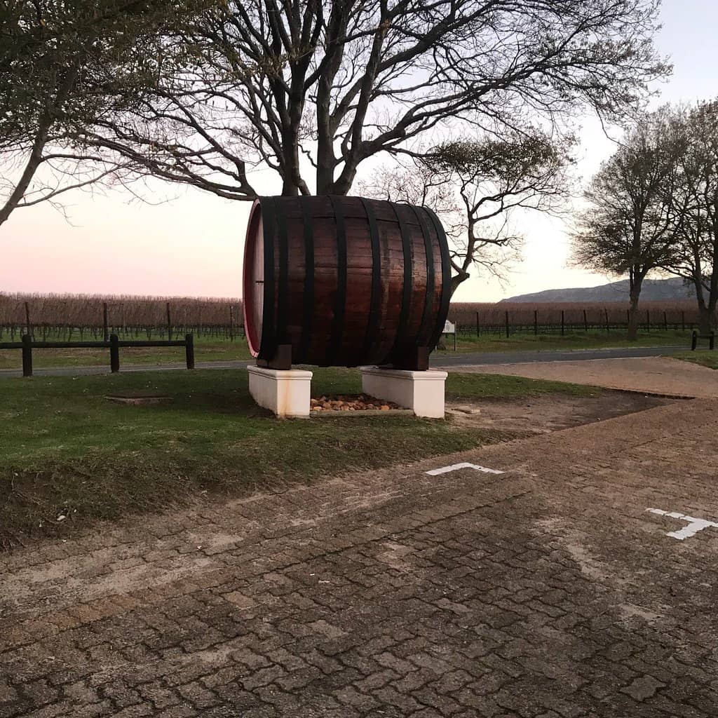Charming Rose-Adorned Veranda