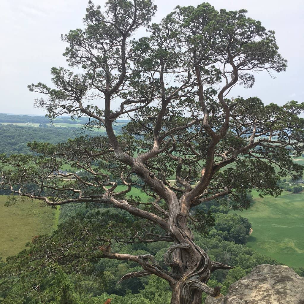 Vertical photo