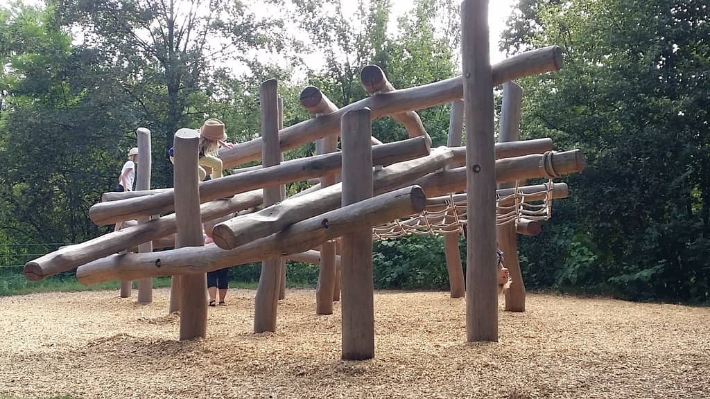 Seal Feeding and Displays