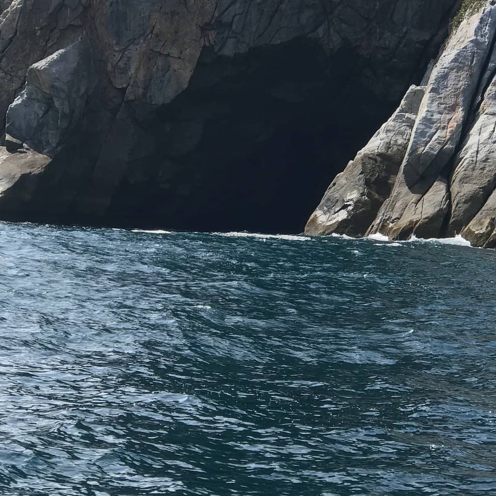 Boat Tour Adventure