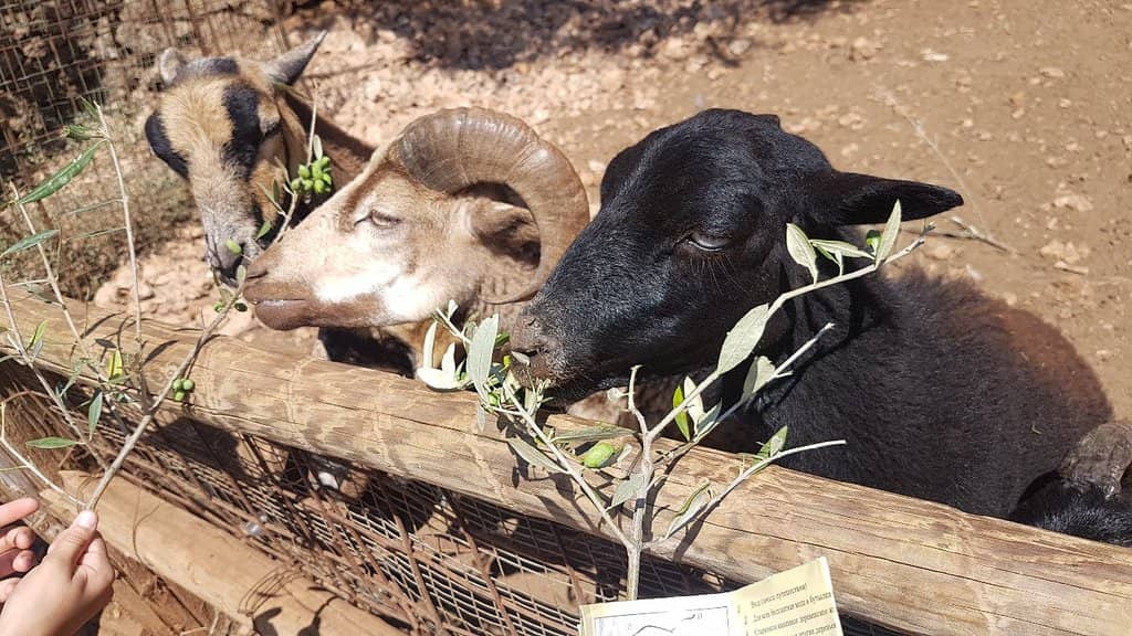 Ancient Stone Structures