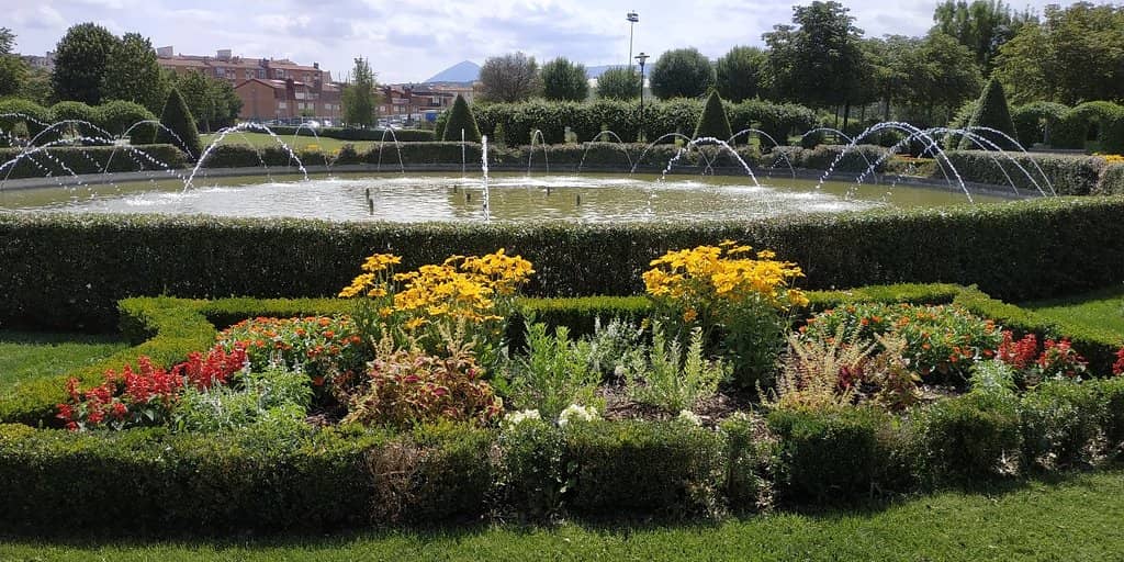 Urban Garden & Seasonal Picking