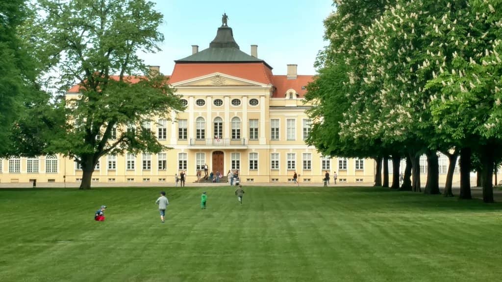 Art Gallery Collection