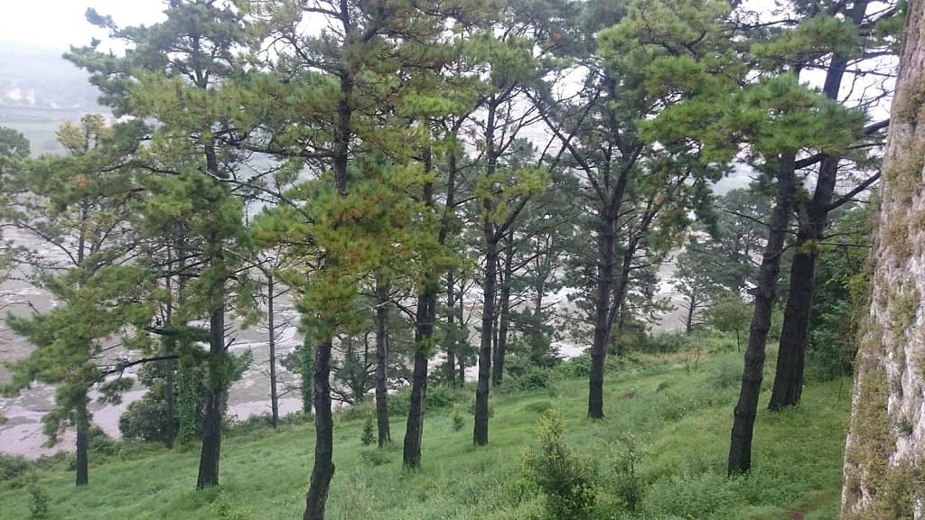 Picos de Europa Views