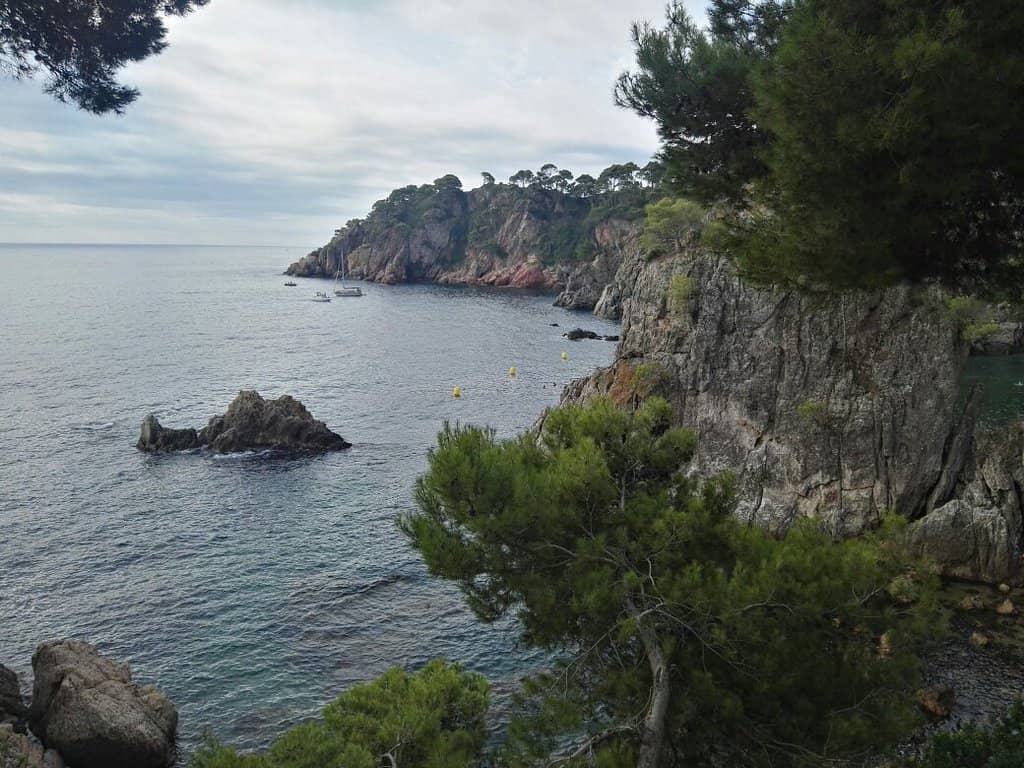 The Thrilling Rock Jump