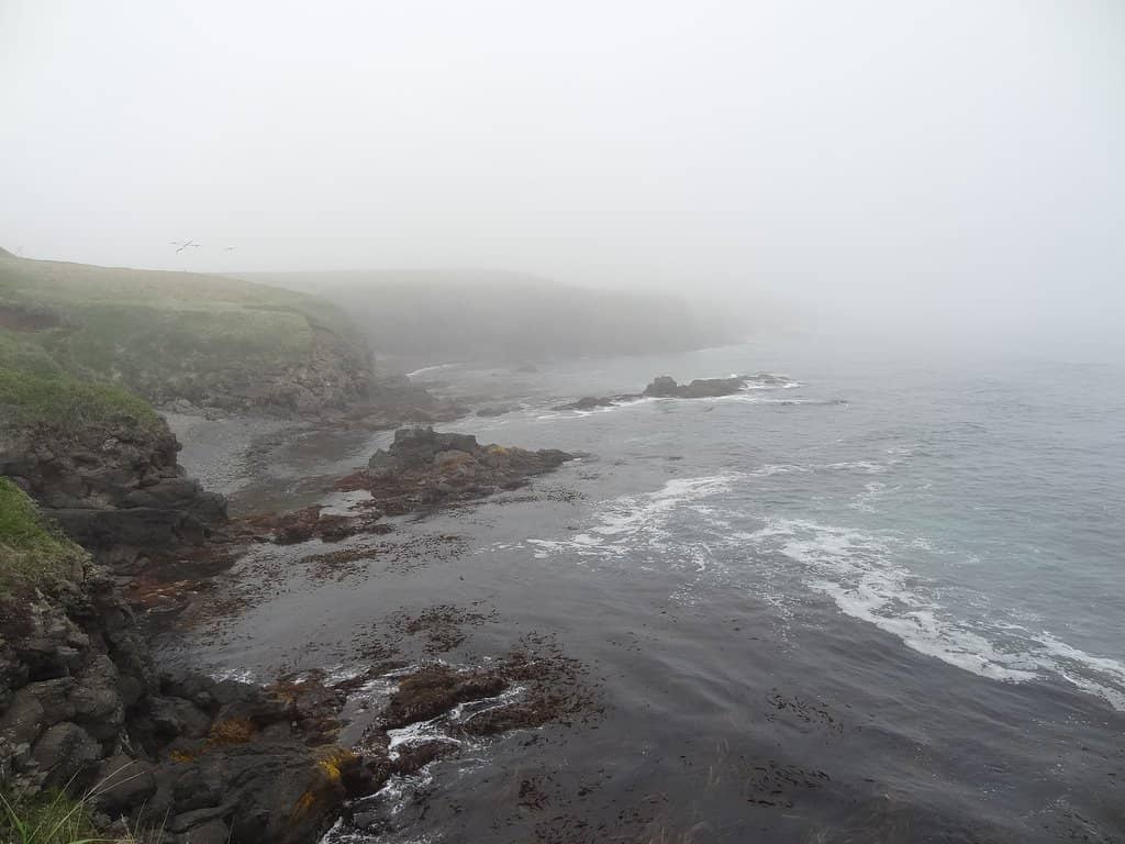 Dramatic Coastal Cliffs