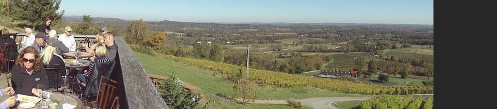 Dog-Friendly Atmosphere