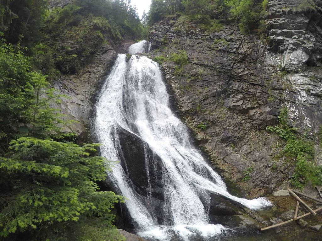 Vertical photo