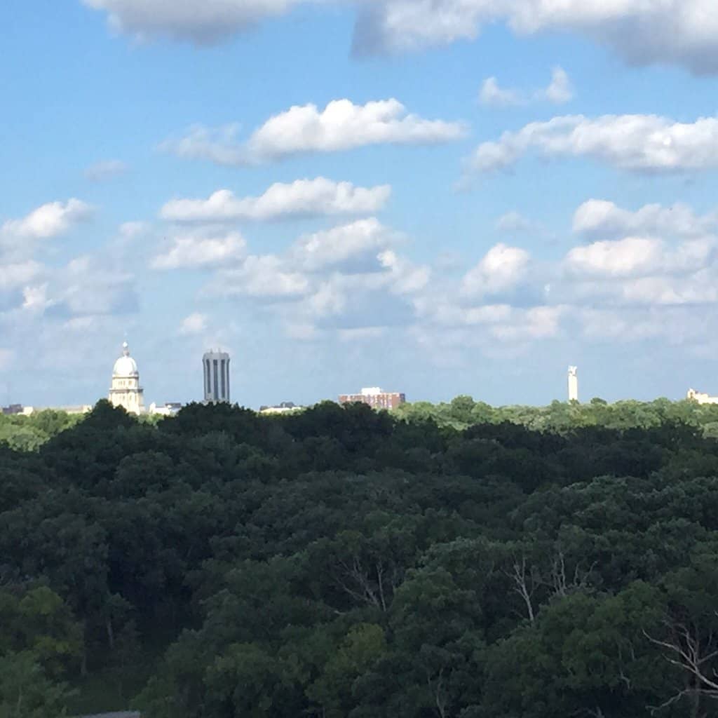 Annual Art Spectacular