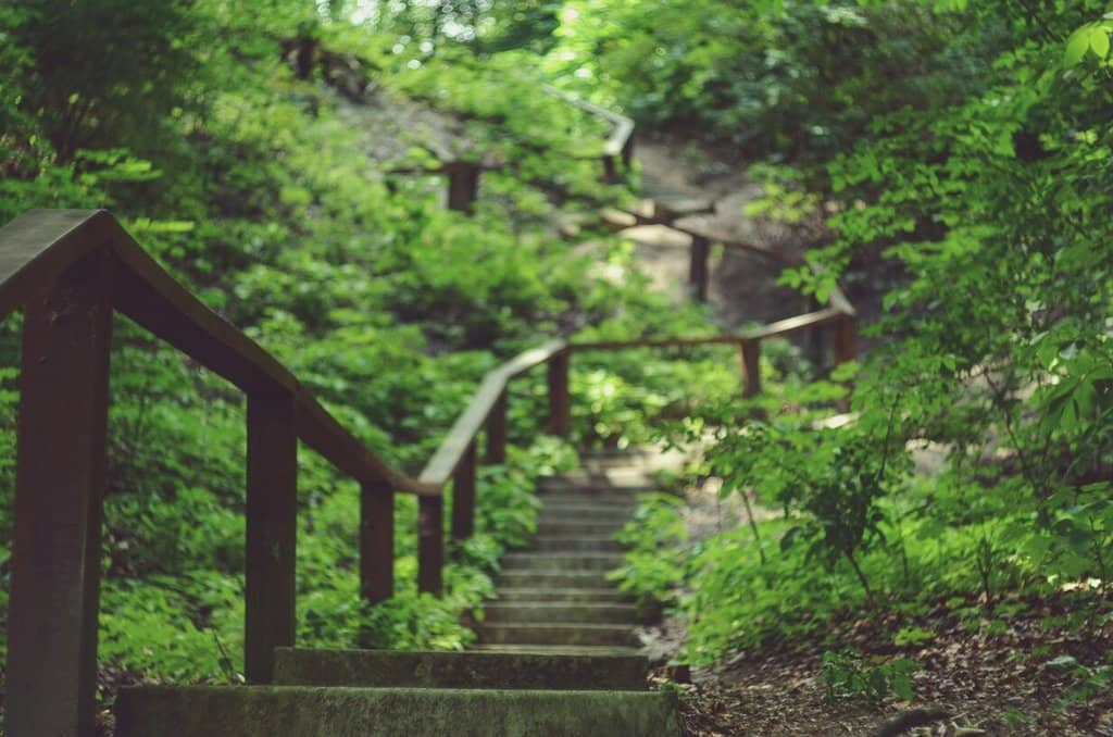 Vertical photo