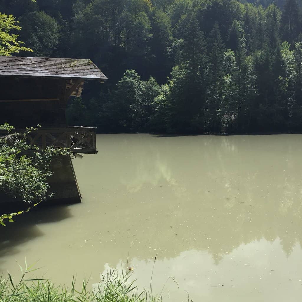 Staufensee