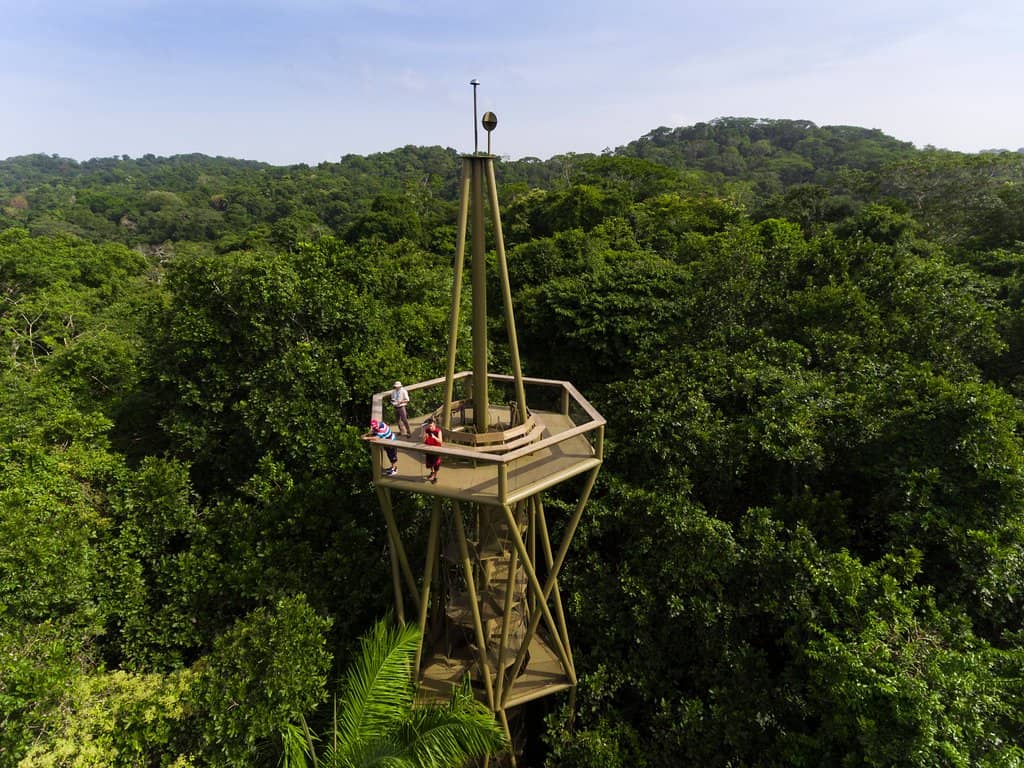 Hummingbird Feeding Station