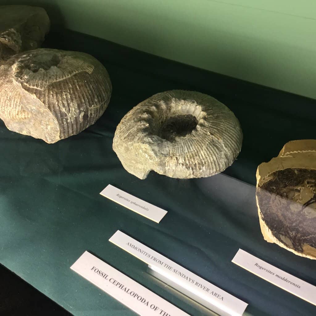 Historical Exhibits