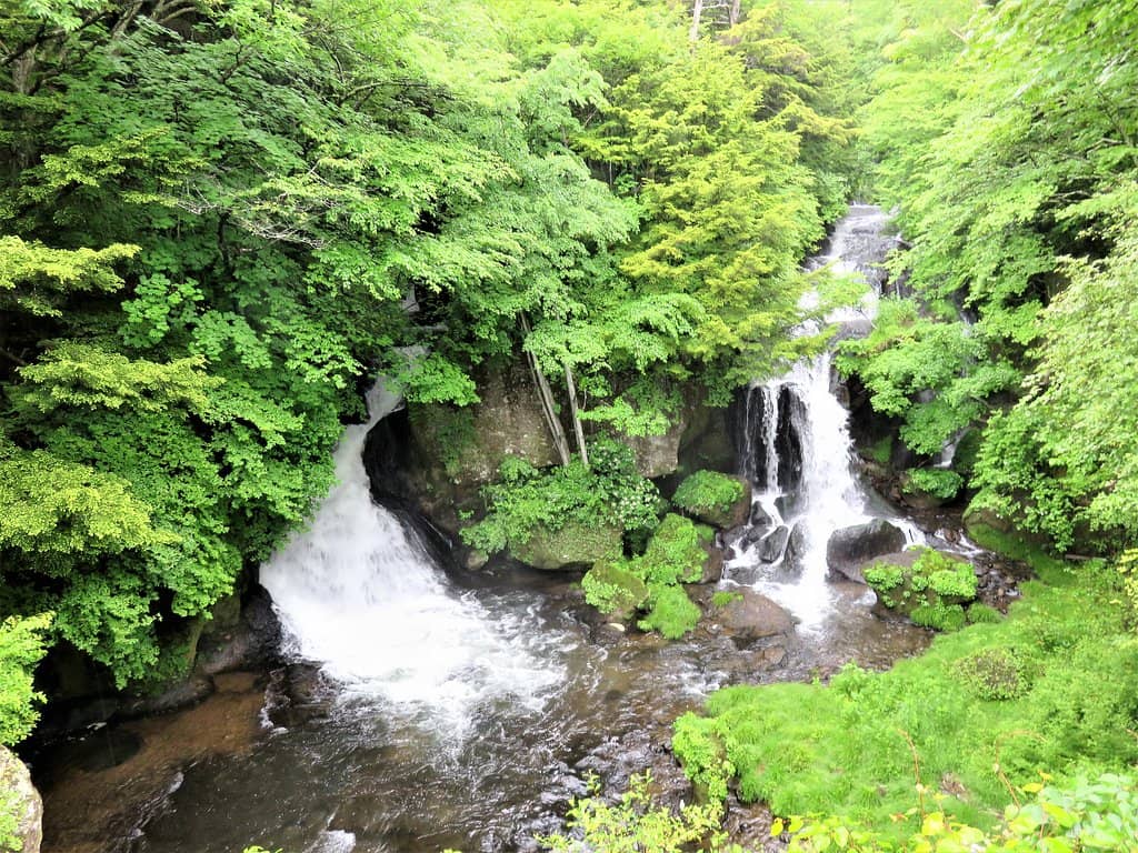 The Dragon's Head Waterfall