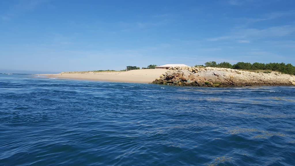 Atlantic Ocean Vistas