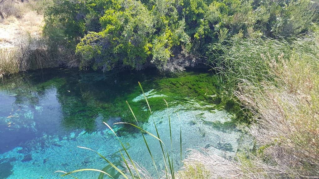 Crystal Spring Boardwalk