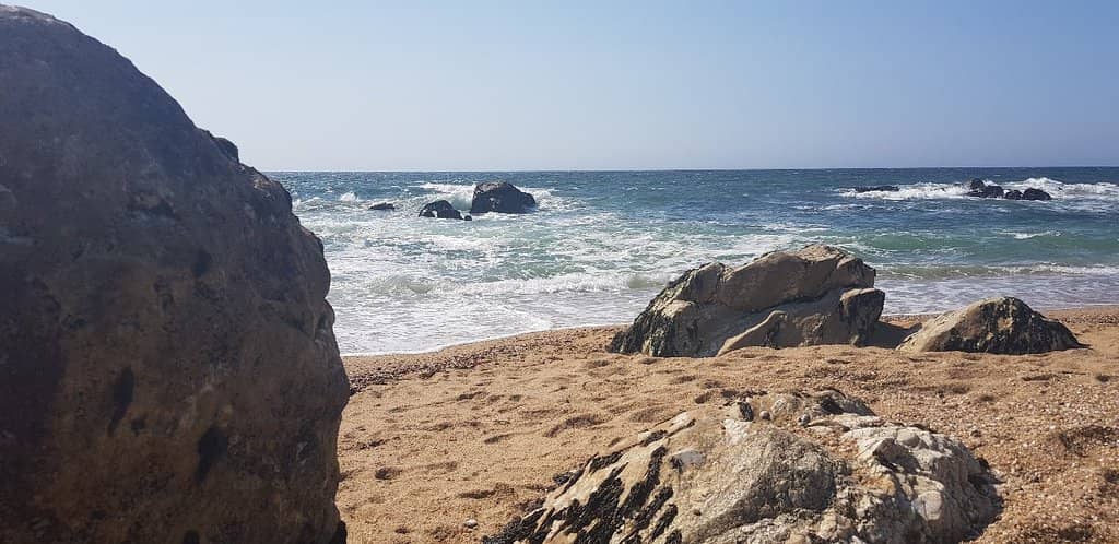 Exploring the Rocky Shore