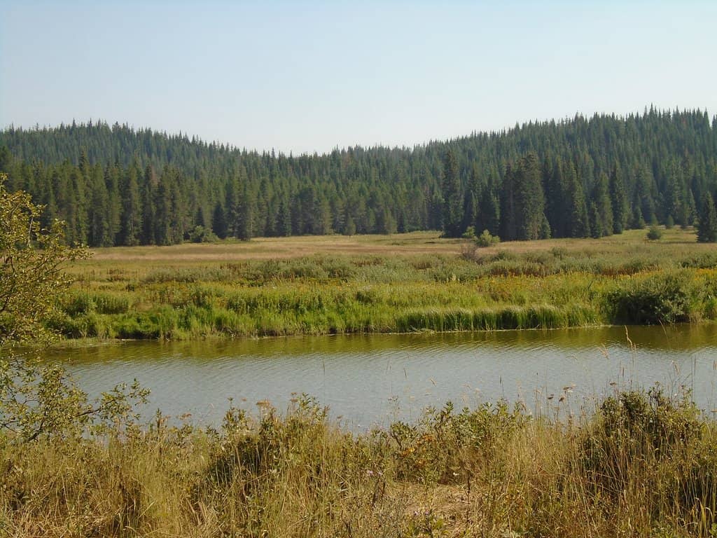 Nez Perce National Park HQ