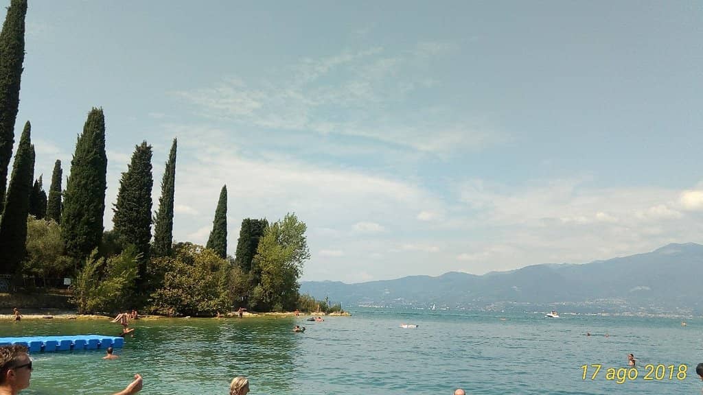 Lush Greenery and Shade