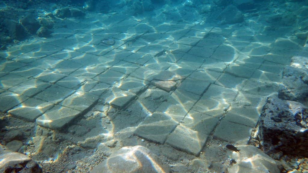 Abundant Sea Life