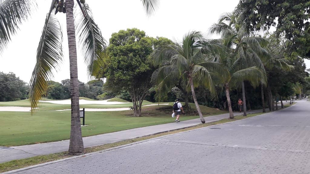 Crystal-Clear Turquoise Waters