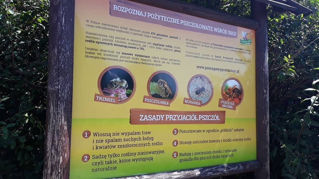 Tranquil Ponds and Wildlife