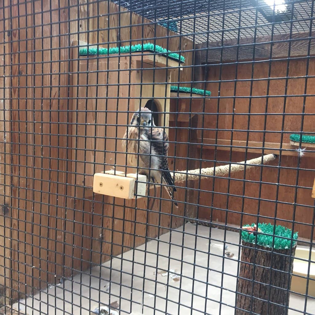 Des Plaines River Trails