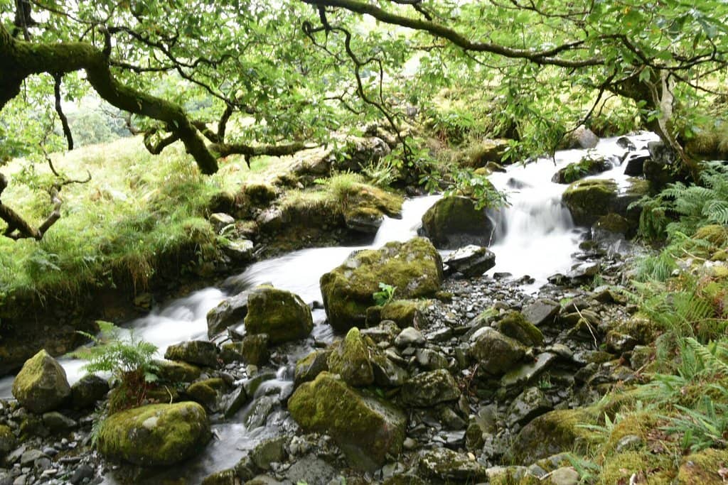 World-Class Bike Trails