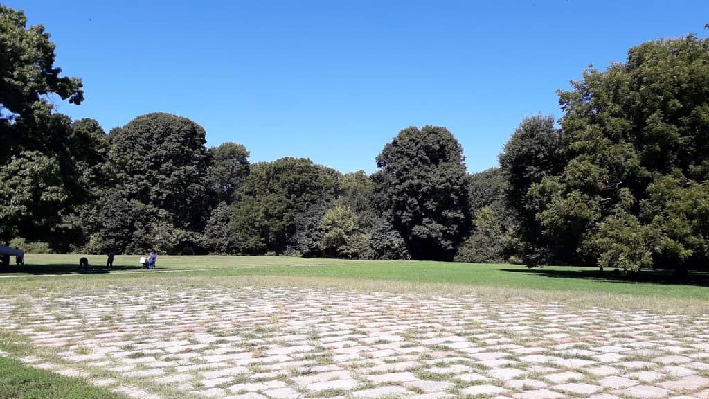 Highlights