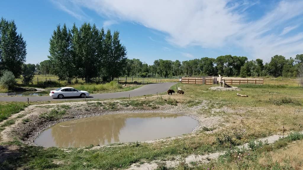 Jurassic Creek