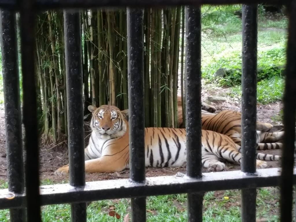 Affordable Family Fun