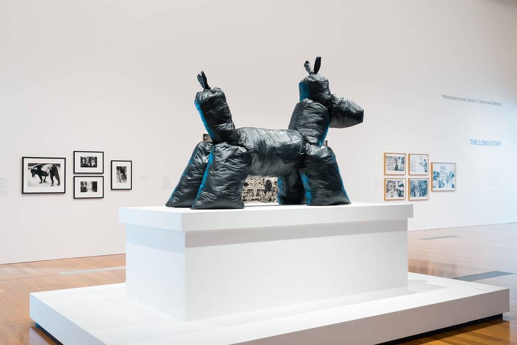 Asian Pacific Triennial