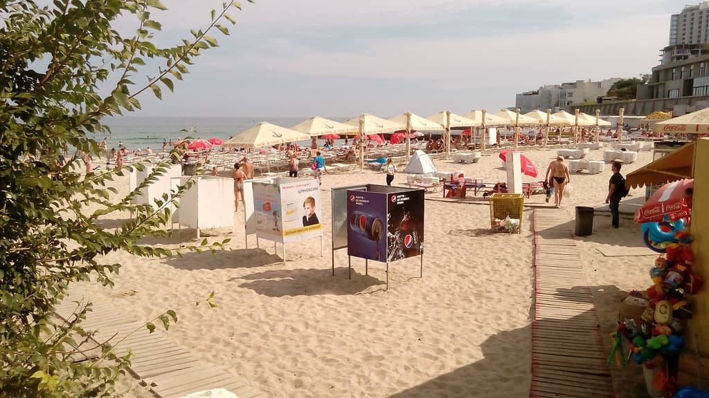 Sea Stacks and Coastal Views