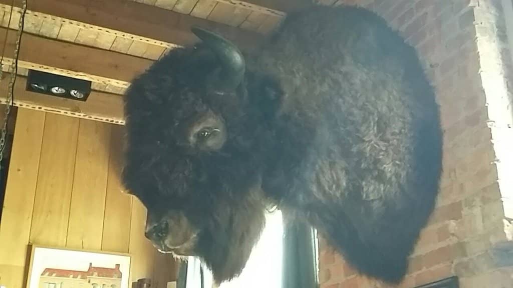 Cozy and Friendly Atmosphere