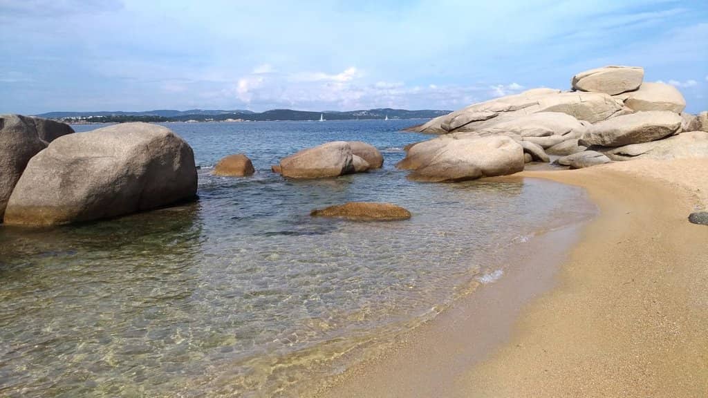 Early Morning Serenity