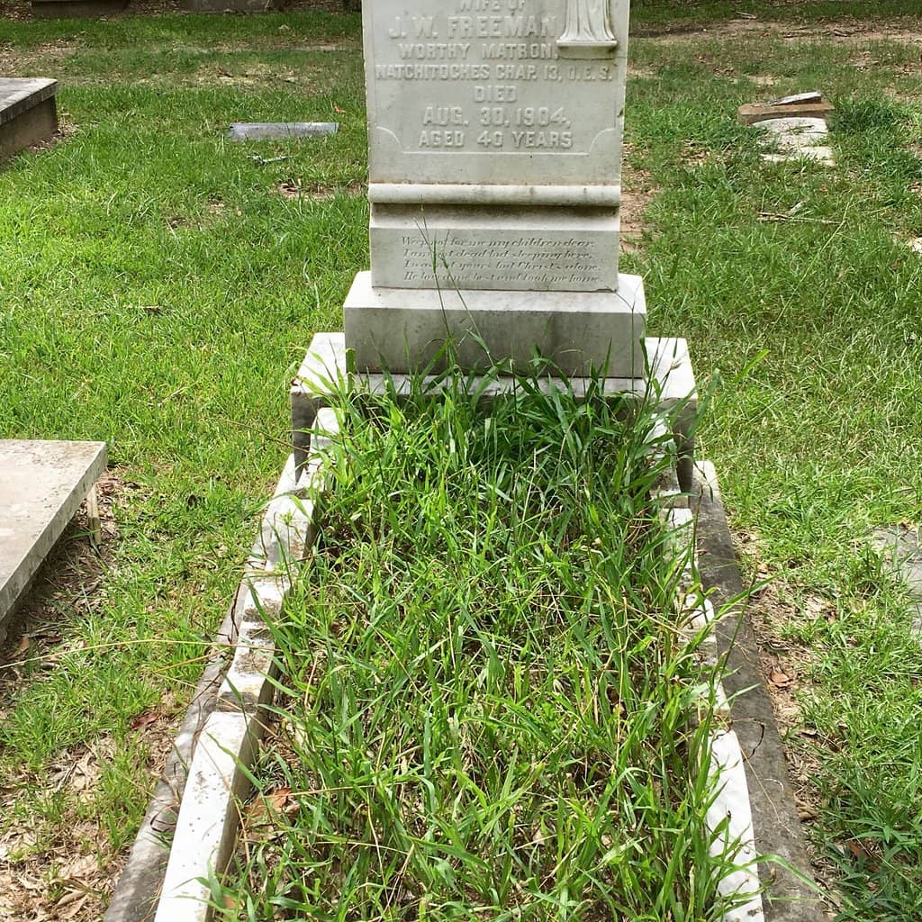 Omaha Beach Overlook