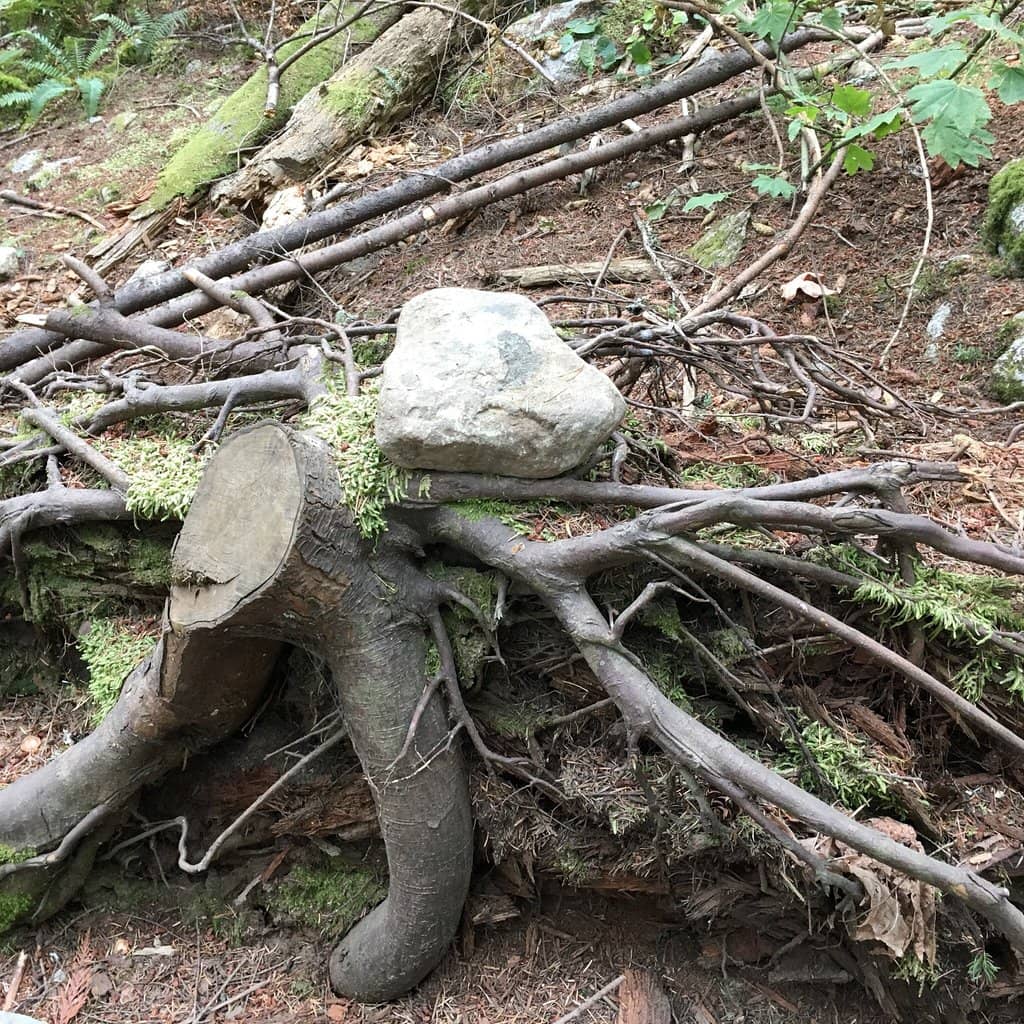 Water Crossings & Bridges