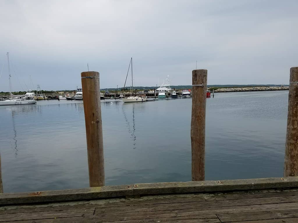 Storywalk Trail