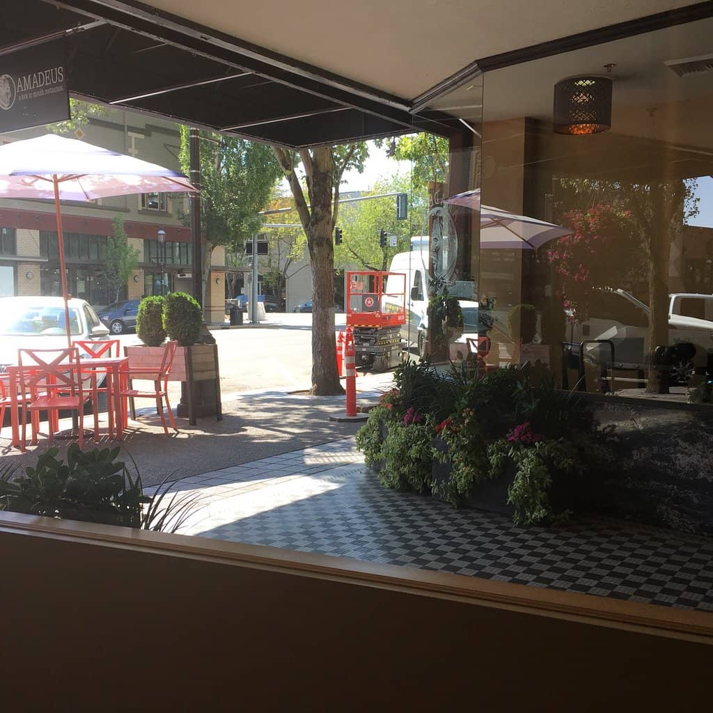 Schnitzel Perfection