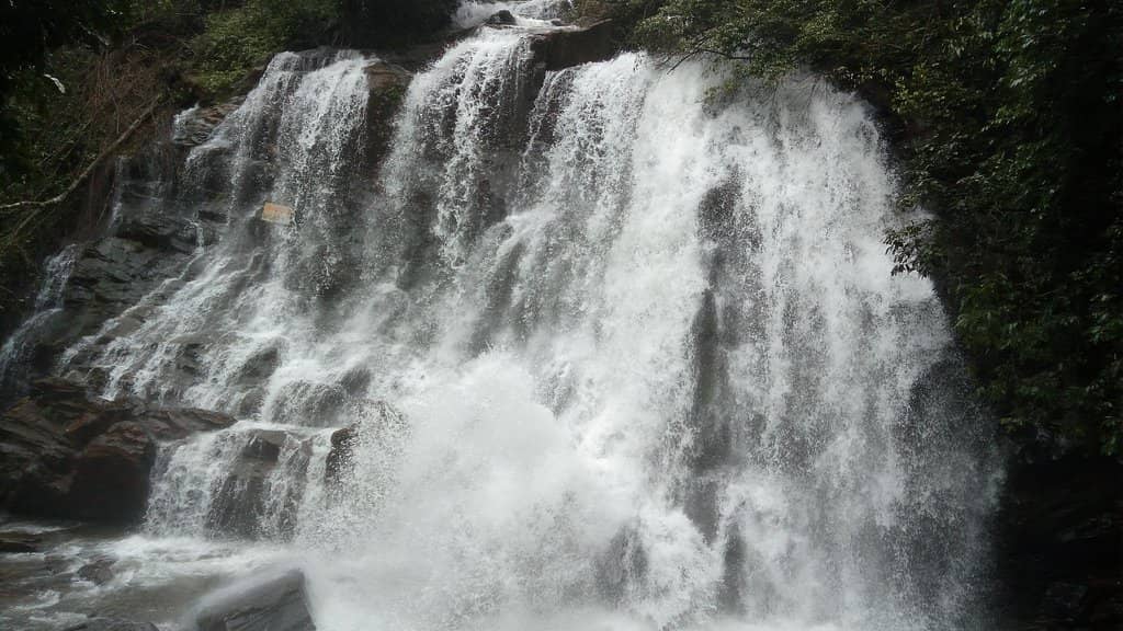 Greenery and Serenity