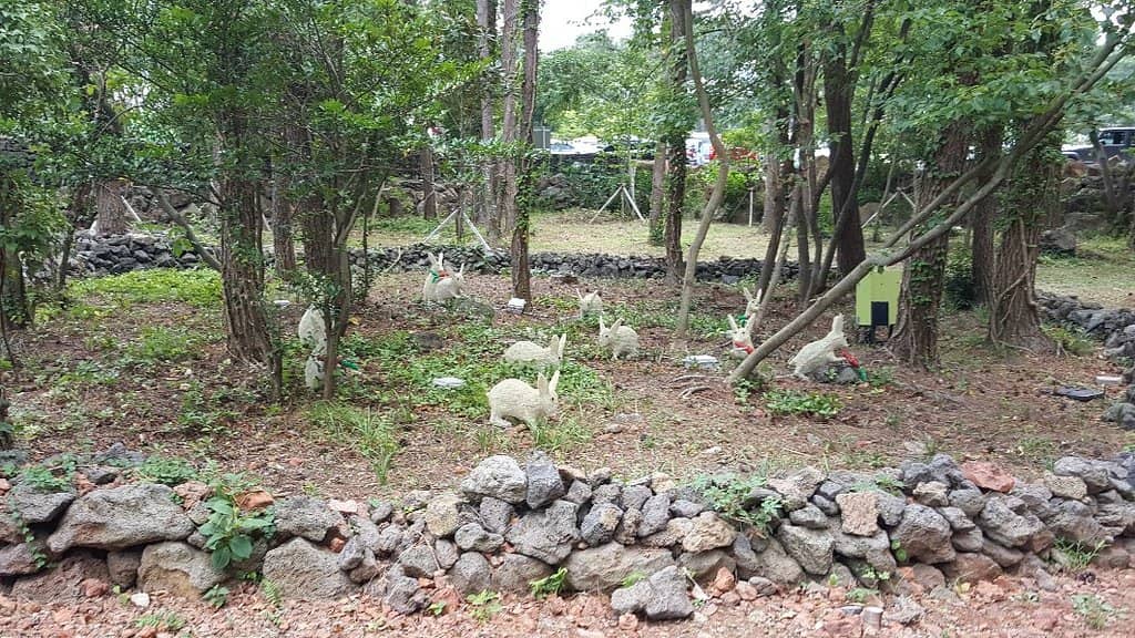 Bamboo Forest